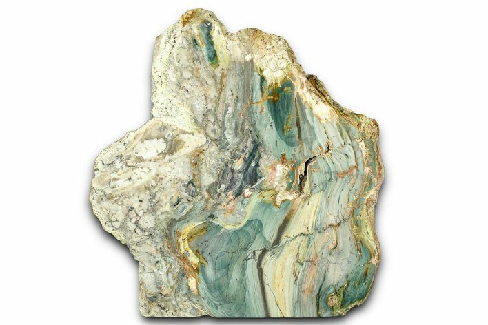 Freestanding Gary Green Jasper (Larsonite) Bog Wood - Oregon #377837